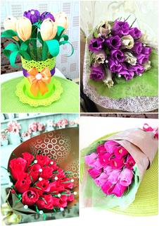 25  Стотик НИ